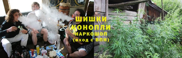 сатива Алексеевка