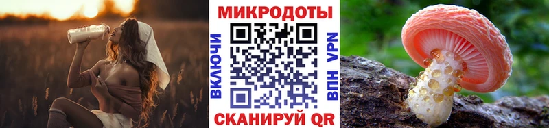 Галлюциногенные грибы Psilocybe  Грязи 